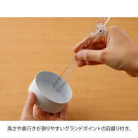 デザインフィル マルチ定規<30cm> 透明A 42301006 1セット(15個)（直送品）