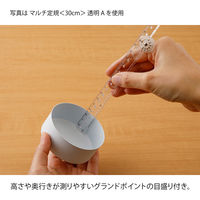 デザインフィル マルチ定規<30cm> 青A 42303006 1セット(15個)（直送品）