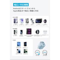 Anker Charger （25W） A2656131 1個