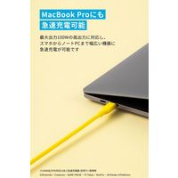 Anker タイプCケーブル （1.8m） ピカチュウモデル A8553N71ー72 1本