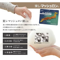 イケヒコ ベイシス 掛布団 グリーン 205×285cm 1160830120303 1個（直送品）