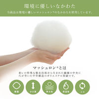 イケヒコ・コーポレーション ルシオ 掛布団 アイボリー 205×205cm 1161470140103 1個（直送品）