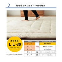 イケヒコ フィーラ こたつ敷 ベージュ 190×190cm 1161700020809 1個（直送品）