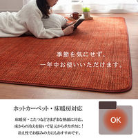 イケヒコ ノート 柄ラグ 1850×900mm ベージュ 1271060021201 1枚（直送品）