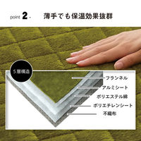 イケヒコ レイヤー キルトラグ 2400×2000mm グリーン 1292641126401 1枚（直送品）