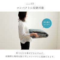 イケヒコ ブルサ デジタルプリントラグ 2000×1400mm ベージュ 1294970027131 1枚（直送品）