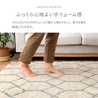 イケヒコ ポラロ 柄ラグ 2400×1900mm アイボリー 1340970142003 1枚（直送品）