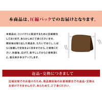 イケヒコ フラン キルトラグ 2600×1900mm ブラウン 1380000002894 1枚（直送品）