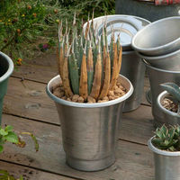 ダルトン ポット&ソーサー L アルミニウム 437797 1個（直送品）