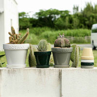 ダルトン 植木鉢 ボタニーポット 6号鉢 ガーデンポット グレー 460317 1個（直送品）