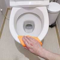 ピカッと吸水クロスII 繰り返し使える お掃除クロス 使い切り 雑巾 ロールタイプ オレンジ 1本（20カット分）ファイン