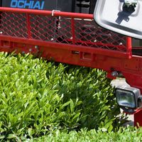 赤堀商店 大きなティーバッグ 強火焙煎 濃いほうじ茶 1袋（32バッグ入） 三角ティーバッグ