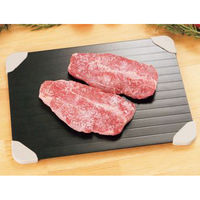 カクセー 急速解凍アルミプレート リフトアップホルダー付 QK-01 1個（直送品）