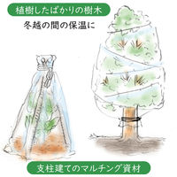 アストロ 家庭菜園・園芸用 不織布シート1.6*10 602-60S 1枚（直送品）