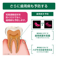 GUM（ガム）知覚過敏ラボ デンタルペースト マイルドハーブ 歯磨き粉 90g 1セット（3本） サンスター