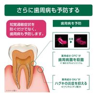 GUM（ガム）知覚過敏ラボ デンタルペースト リフレッシュシトラス 歯磨き粉 90g 1セット（2本） サンスター