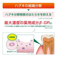 GUM（ガム）ハグキラボ デンタルペースト ナチュラルハーブミント 歯磨き粉 85g 1セット（2本） サンスター