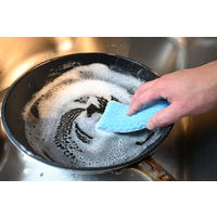 落ちますポンジ アドバンス ブルー 日本製 1セット（1個×5）丸善化工