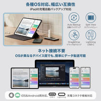 Maktar 充電しながらデータ自動バックアップ Qubii EX 急速充電60W 256GB MKPQE-RG-256 1個