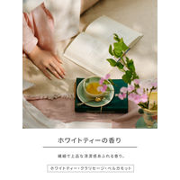 ランドリン 洗たく用洗剤 濃縮タイプ ホワイトティーの香り 本体 410g 1個 衣料用洗剤 ネイチャーラボ