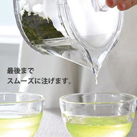 HARIO（ハリオ）フィルターイン 急須 ティーポット 450ml トライタン製 FIKー45ーT 1個