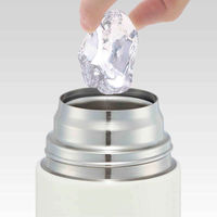 スケーター 水筒 990ml ダイレクトステンボトル キャラクター 保冷 ピーナッツコミック 438565 1個（直送品）