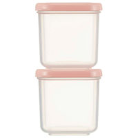 スケーター 保存容器 100ml 作り置き小分け容器セット パウダーパステル 角小4個入 収納ケース付き 443434 1個（直送品）