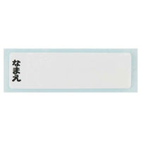 スケーター 水筒 480ml 食洗機対応プラクリアボトル プリンセス24 447960 1個（直送品）