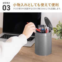 武田コーポレーション ダストボックスミニ PI TGM165-PI 1箱(12個入)（直送品）