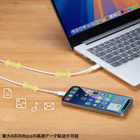 サンワサプライ  USB 2.0 Type-Cケーブル（PD60Ｗ・1m・ホワイト） KU-CCP6010W（直送品）