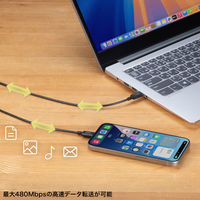 サンワサプライ  USB 2.0 Type-Cケーブル（PD60Ｗ・2m・ブラック） KU-CCP6020BK（直送品）