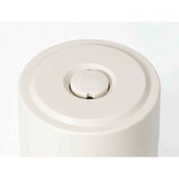 スケーター 保存容器 520ml プッシュボタン付き密封保存容器 キャラクター スヌーピー 429257 1個（直送品）