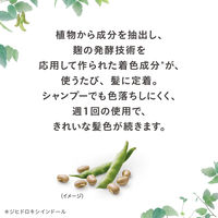 ブローネ ナチュリラ 色長持ちカラートリートメント ローズブラウン 本体 155g 花王