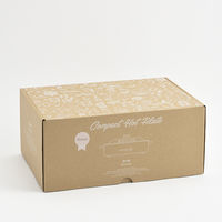 BRUNO コンパクトホットプレート(限定色桃色) BOE021-MOMOIRO 1個