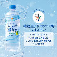 アサヒ飲料 アサヒ おいしい水 天然水 からだ澄む水 600ml 1箱（24本入）