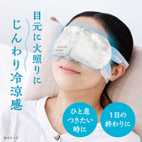 アンドグッドナイト ひんやりアイマスク1枚（ミントラベンダー）1個 グローバルプロダクトプランニング