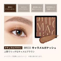 MAQuillAGE（マキアージュ） カスタマイズアイカラー シングル  BR533 資生堂