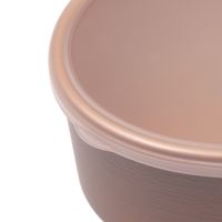 わっぱ風ランチボックス(450ml) ブラウン LAKOLE/ラコレ