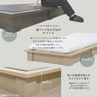 【軒先渡し】友澤木工 MIGUSA畳使用 デザイン畳ベッド ダブル ナチュラル 392-migusa(LT)-88-D 1台（直送品）