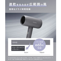 SALONIA（サロニア）　スムースシャインドライヤー ピンク I-ne