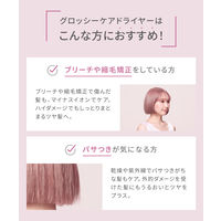 SALONIA（サロニア）　グロッシーケアドライヤー ホワイト I-ne