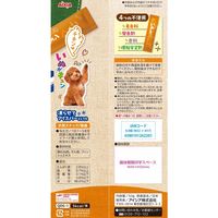 いぬがキュン チキン味 無添加 国産 50g（10g×5本）1袋 アイシア 犬用 おやつ