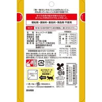 無一物 まぐろ 国産 40g 1セット（1袋×24）はごろもフーズ キャットフード ウェット パウチ