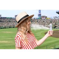 TO-PLAN ミストハンディファン TKTAー09 1台