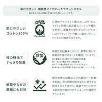 溝端紙工印刷 IKONIH ヒノキウエットタオル 平型 1箱（800枚：50枚入×16袋）
