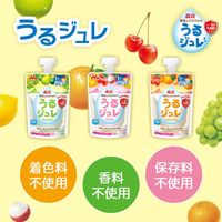 【1歳頃から】うるジュレアソート18袋セット（3種アソート）1個 森永乳業