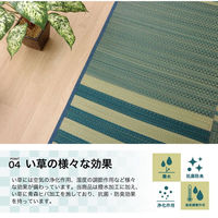 イケヒコ ラスタ（撥水） い草ボリュームラグ 3000×1900mm ブラウン 1071390065016 1枚（直送品）