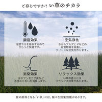 イケヒコ 大自然 花ござ 江戸間4.5畳 2610×2610mm 海 1080330040502 1枚（直送品）
