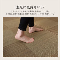 イケヒコ ノア 花ござ 江戸間3畳 2610×1740mm ブラック 1080390030302 1枚（直送品）