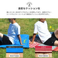 イケヒコ ブロード ポリプロピレンカーペット 江戸間2畳 1740×1740mm レッド 1090260243604 1枚（直送品）